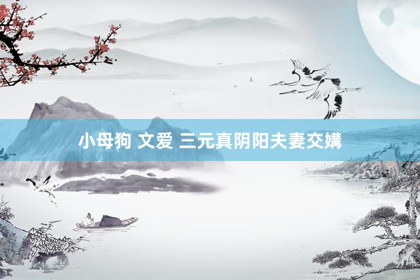 小母狗 文爱 三元真阴阳夫妻交媾