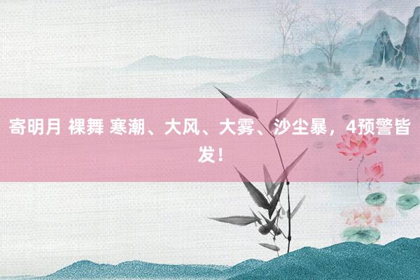 寄明月 裸舞 寒潮、大风、大雾、沙尘暴，4预警皆发！