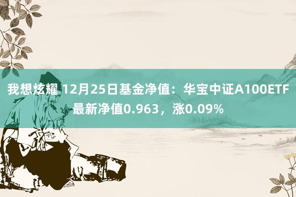 我想炫耀 12月25日基金净值：华宝中证A100ETF最新净值0.963，涨0.09%