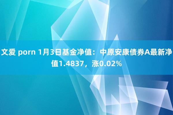 文爱 porn 1月3日基金净值：中原安康债券A最新净值1.4837，涨0.02%