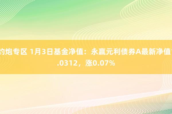 约炮专区 1月3日基金净值：永赢元利债券A最新净值1.0312，涨0.07%