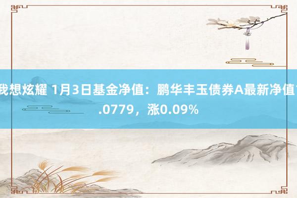 我想炫耀 1月3日基金净值：鹏华丰玉债券A最新净值1.0779，涨0.09%