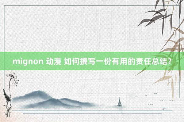 mignon 动漫 如何撰写一份有用的责任总结？