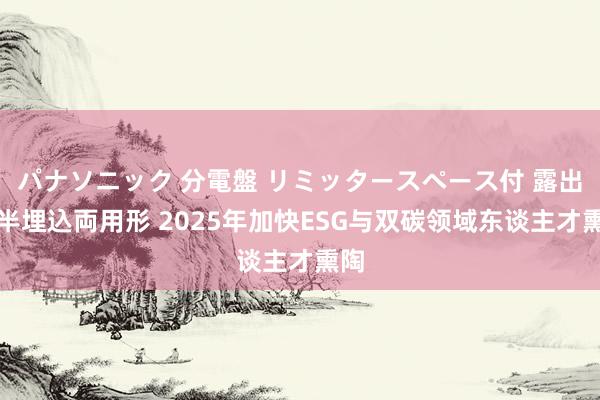 パナソニック 分電盤 リミッタースペース付 露出・半埋込両用形 2025年加快ESG与双碳领域东谈主才熏陶