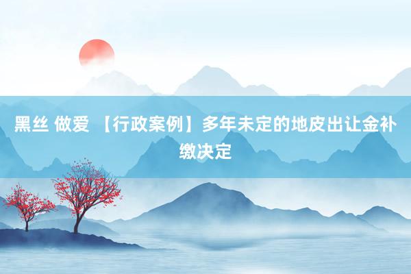 黑丝 做爱 【行政案例】多年未定的地皮出让金补缴决定