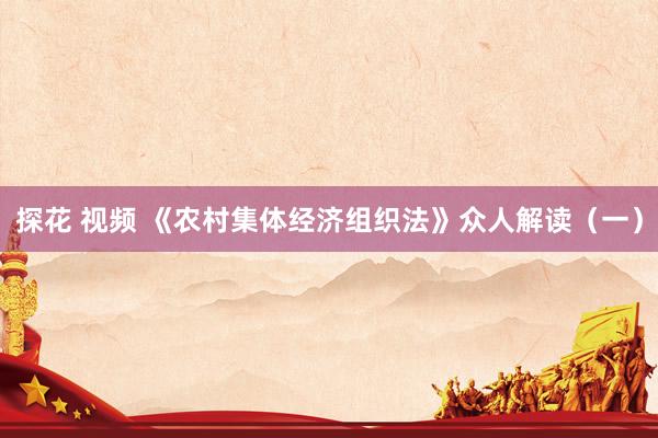 探花 视频 《农村集体经济组织法》众人解读(一)