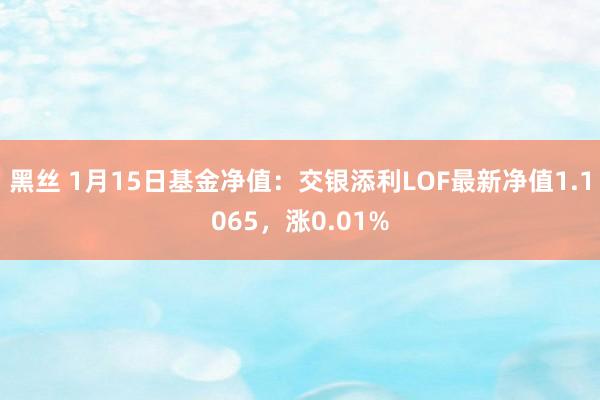 黑丝 1月15日基金净值：交银添利LOF最新净值1.1065，涨0.01%