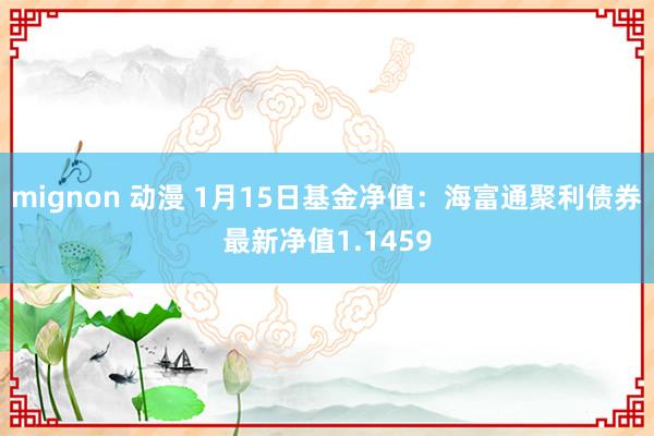 mignon 动漫 1月15日基金净值：海富通聚利债券最新净值1.1459