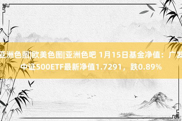 亚洲色图|欧美色图|亚洲色吧 1月15日基金净值：广发中证500ETF最新净值1.7291，跌0.89%