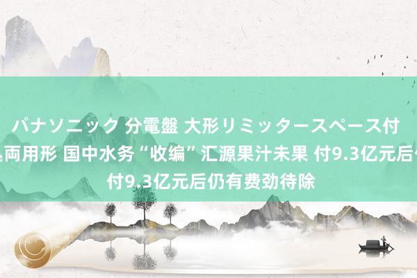 パナソニック 分電盤 大形リミッタースペース付 露出・半埋込両用形 国中水务“收编”汇源果汁未果 付9.3亿元后仍有费劲待除