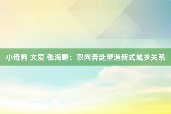 小母狗 文爱 张海鹏：双向奔赴塑造新式城乡关系