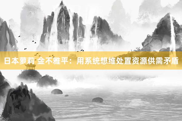 日本萝莉 金不雅平：用系统想维处置资源供需矛盾