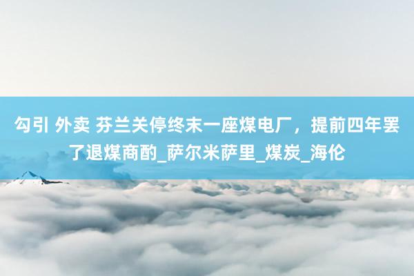 勾引 外卖 芬兰关停终末一座煤电厂，提前四年罢了退煤商酌_萨尔米萨里_煤炭_海伦