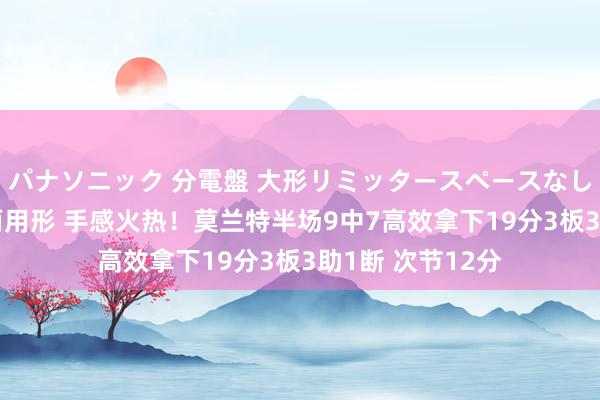 パナソニック 分電盤 大形リミッタースペースなし 露出・半埋込両用形 手感火热！莫兰特半场9中7高效拿下19分3板3助1断 次节12分