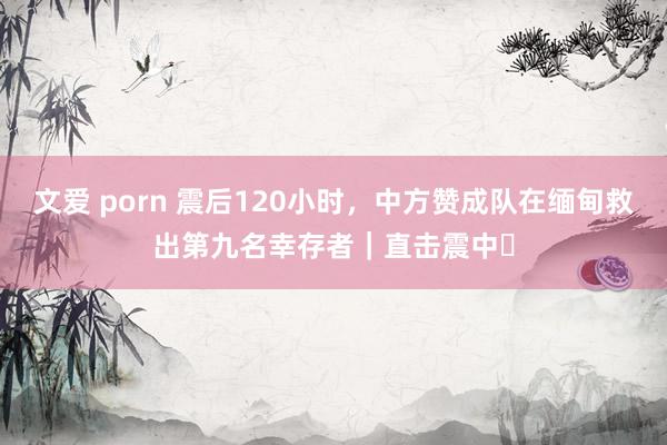文爱 porn 震后120小时，中方赞成队在缅甸救出第九名幸存者｜直击震中⑭