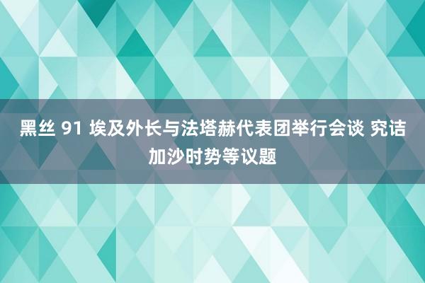 黑丝 91 埃及外长与法塔赫代表团举行会谈 究诘加沙时势等议题