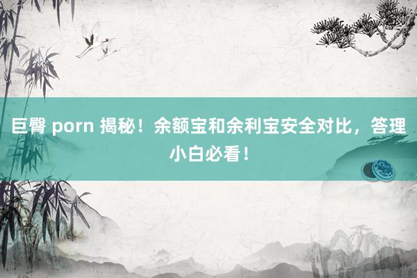 巨臀 porn 揭秘！余额宝和余利宝安全对比，答理小白必看！