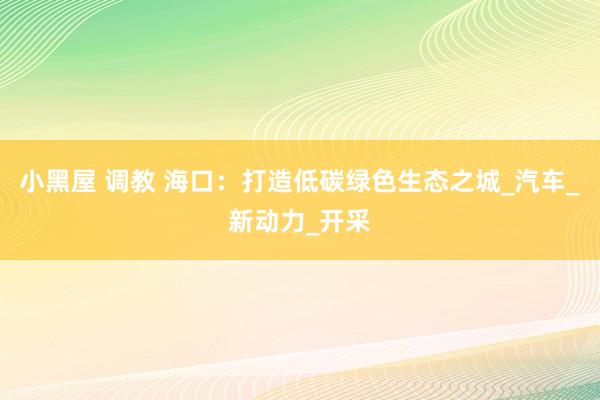 小黑屋 调教 海口：打造低碳绿色生态之城_汽车_新动力_开采