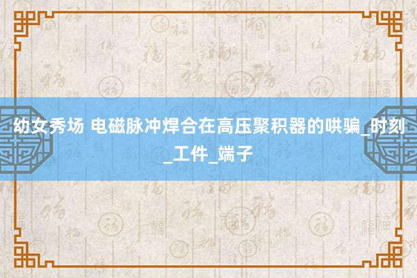 幼女秀场 电磁脉冲焊合在高压聚积器的哄骗_时刻_工件_端子
