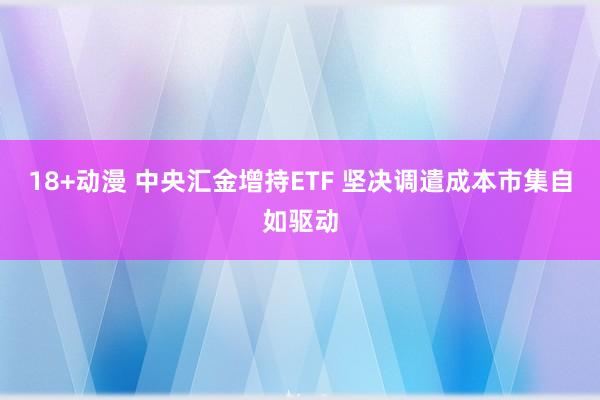 18+动漫 中央汇金增持ETF 坚决调遣成本市集自如驱动