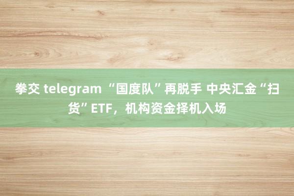 拳交 telegram “国度队”再脱手 中央汇金“扫货”ETF，机构资金择机入场