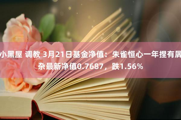 小黑屋 调教 3月21日基金净值：朱雀恒心一年捏有羼杂最新净值0.7687，跌1.56%