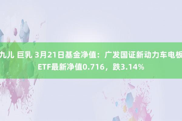 九儿 巨乳 3月21日基金净值：广发国证新动力车电板ETF最新净值0.716，跌3.14%