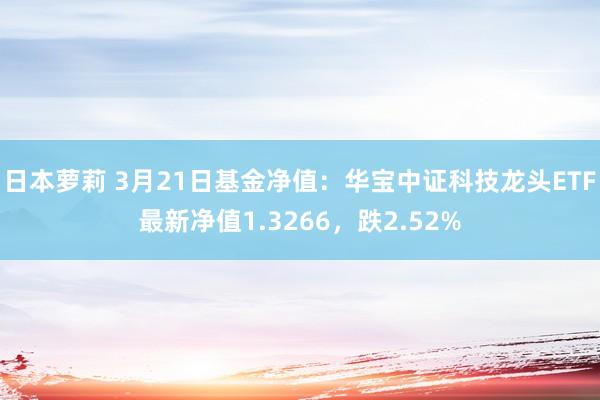 日本萝莉 3月21日基金净值：华宝中证科技龙头ETF最新净值1.3266，跌2.52%