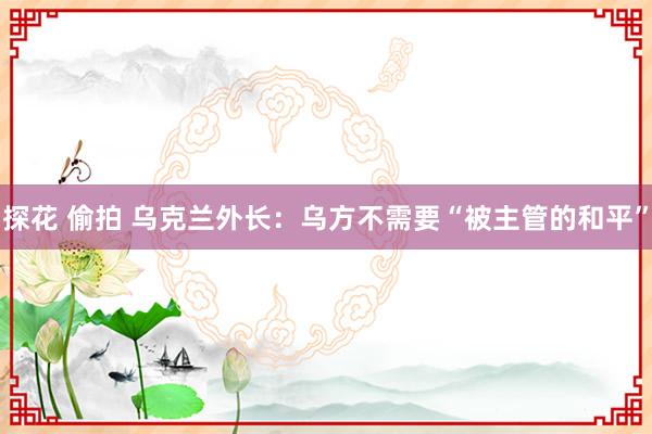 探花 偷拍 乌克兰外长：乌方不需要“被主管的和平”