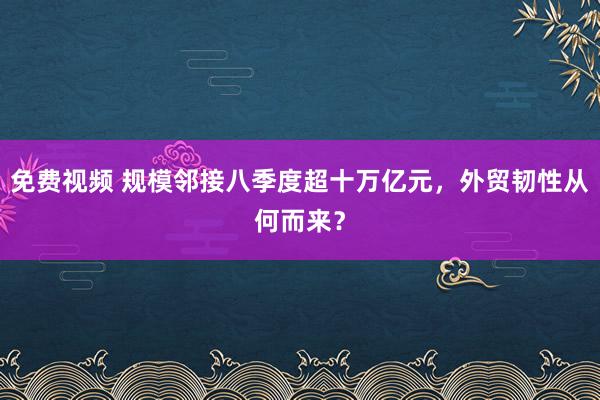 免费视频 规模邻接八季度超十万亿元，外贸韧性从何而来？
