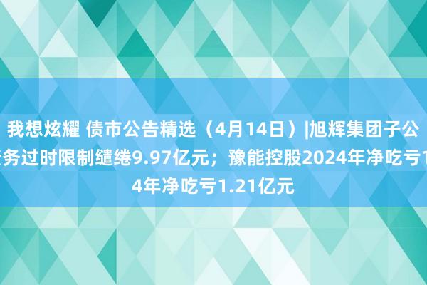 我想炫耀 债市公告精选（4月14日）|旭辉集团子公司发生债务过时限制缱绻9.97亿元；豫能控股2024年净吃亏1.21亿元