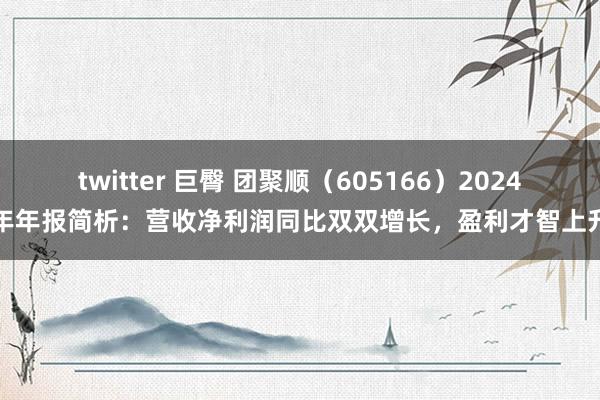 twitter 巨臀 团聚顺（605166）2024年年报简析：营收净利润同比双双增长，盈利才智上升
