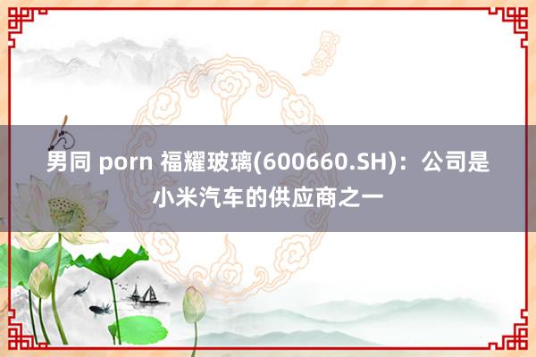 男同 porn 福耀玻璃(600660.SH)：公司是小米汽车的供应商之一
