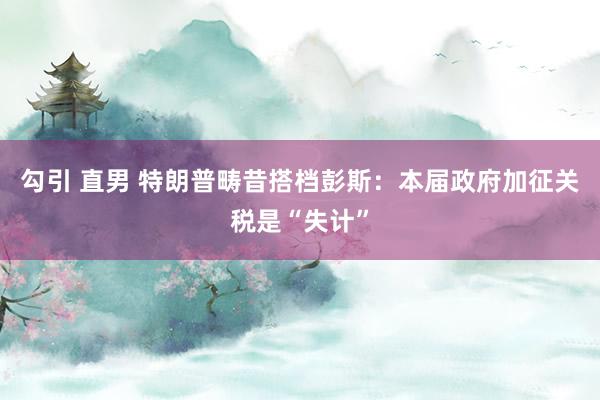 勾引 直男 特朗普畴昔搭档彭斯：本届政府加征关税是“失计”