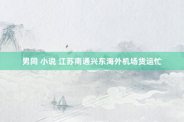 男同 小说 江苏南通兴东海外机场货运忙