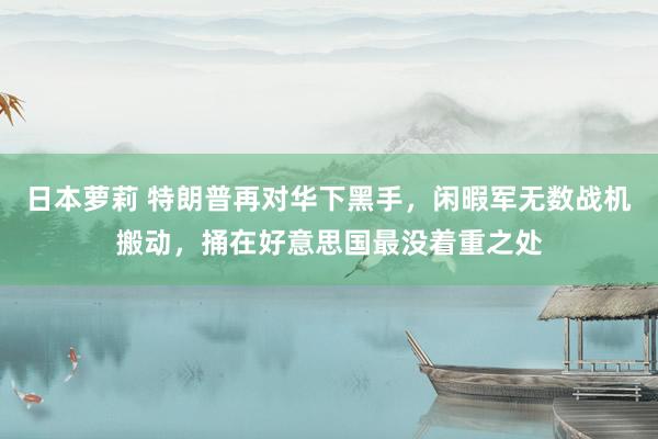 日本萝莉 特朗普再对华下黑手，闲暇军无数战机搬动，捅在好意思国最没着重之处
